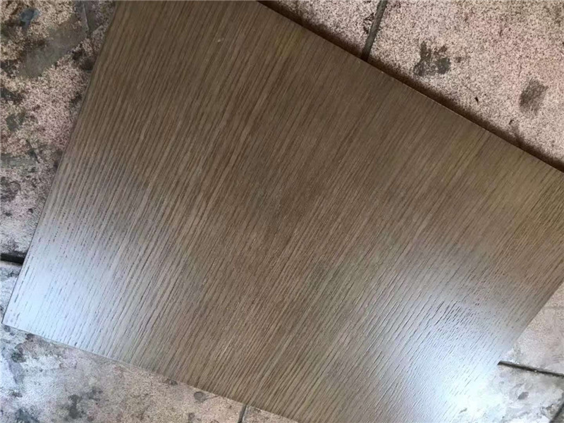 康德样板6